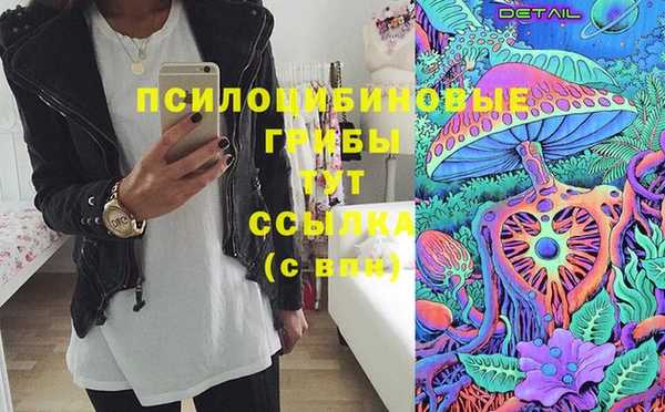 синтетический гашиш Алексин