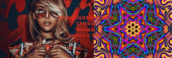 прущие грибы Алзамай