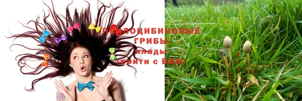 прущие грибы Алзамай