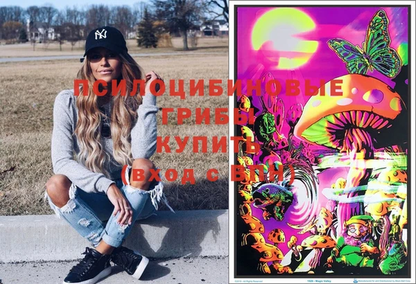 прущие грибы Алзамай