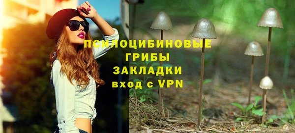 МДПВ Алексеевка