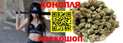 мдпв Дубна