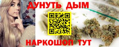мдпв Дубна