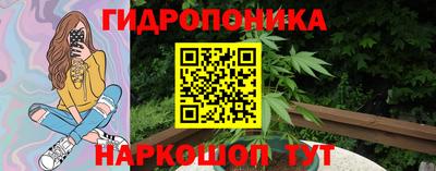 мдпв Дубна