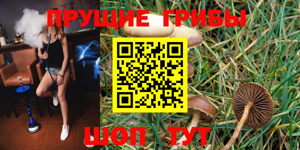 Галлюциногенные грибы GOLDEN TEACHER Уссурийск