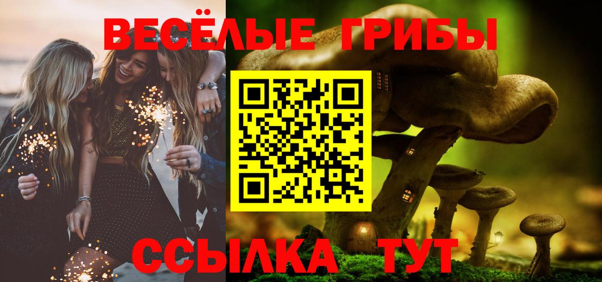 Галлюциногенные грибы мухоморы  Вход с VPN  Уссурийск 
